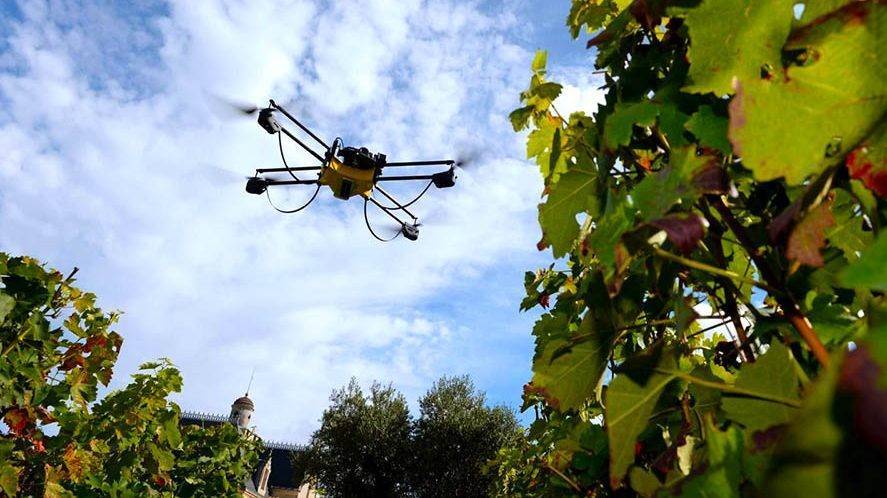 teledeteccion agricultura herramienta indispensable